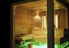 Glas Sauna mit Infrarot Burgenland